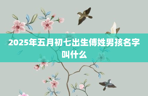 2025年五月初七出生傅姓男孩名字叫什么