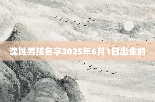 沈姓男孩名字2025年6月1日出生的