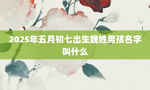2025年五月初七出生魏姓男孩名字叫什么