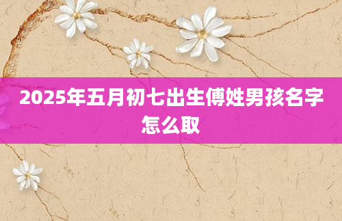 2025年五月初七出生傅姓男孩名字怎么取