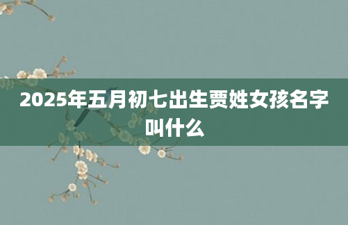 2025年五月初七出生贾姓女孩名字叫什么