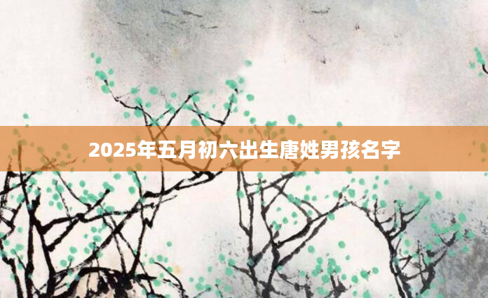 2025年五月初六出生唐姓男孩名字
