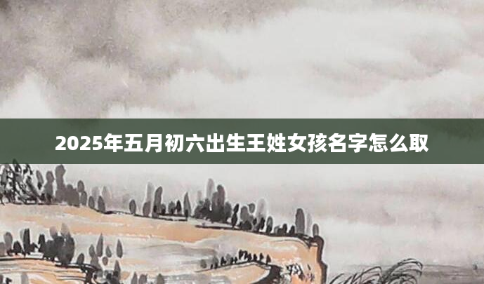 2025年五月初六出生王姓女孩名字怎么取