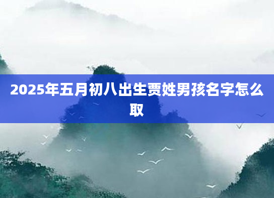 2025年五月初八出生贾姓男孩名字怎么取