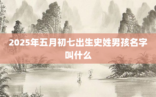 2025年五月初七出生史姓男孩名字叫什么