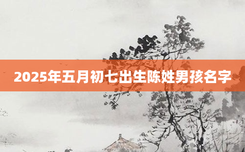 2025年五月初七出生陈姓男孩名字