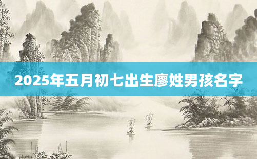 2025年五月初七出生廖姓男孩名字