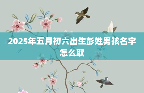 2025年五月初六出生彭姓男孩名字怎么取