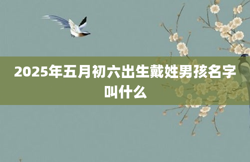 2025年五月初六出生戴姓男孩名字叫什么