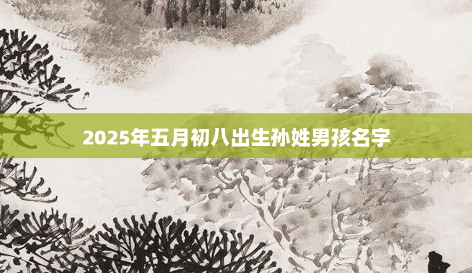 2025年五月初八出生孙姓男孩名字