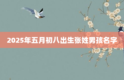 2025年五月初八出生张姓男孩名字
