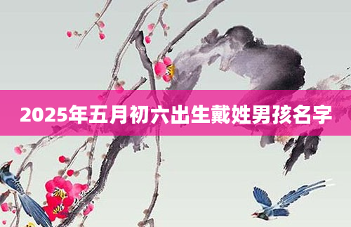 2025年五月初六出生戴姓男孩名字