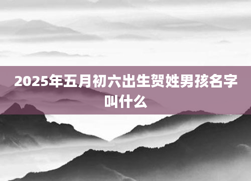 2025年五月初六出生贺姓男孩名字叫什么