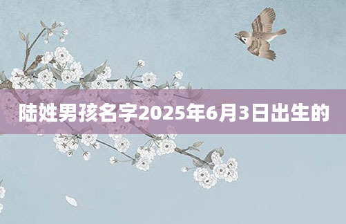 陆姓男孩名字2025年6月3日出生的