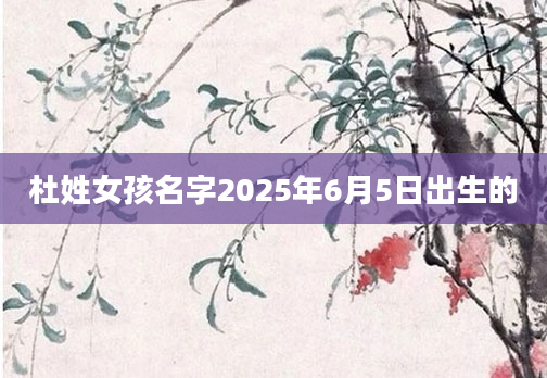 杜姓女孩名字2025年6月5日出生的