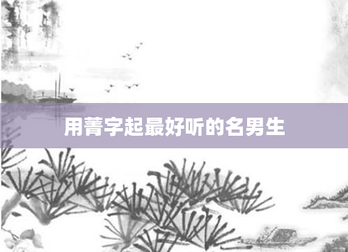 用菁字起最好听的名男生