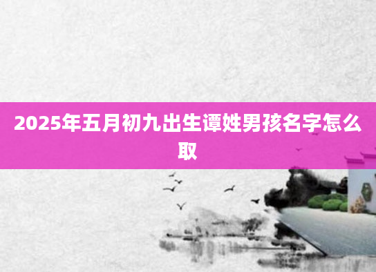 2025年五月初九出生谭姓男孩名字怎么取