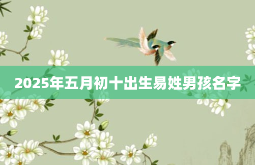 2025年五月初十出生易姓男孩名字