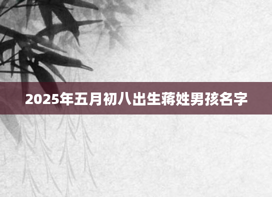 2025年五月初八出生蒋姓男孩名字