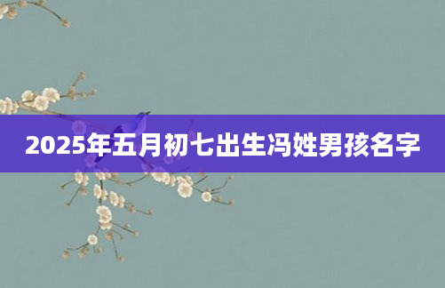 2025年五月初七出生冯姓男孩名字