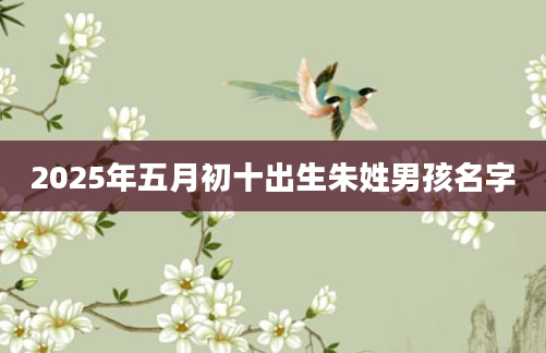 2025年五月初十出生朱姓男孩名字