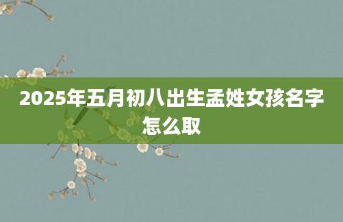2025年五月初八出生孟姓女孩名字怎么取