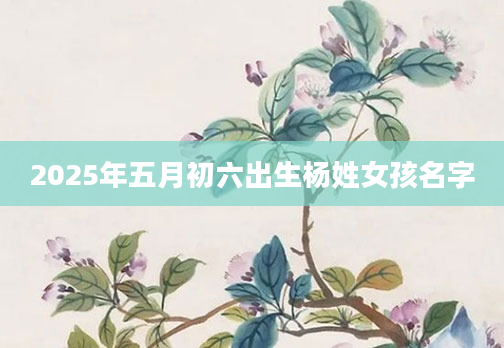 2025年五月初六出生杨姓女孩名字