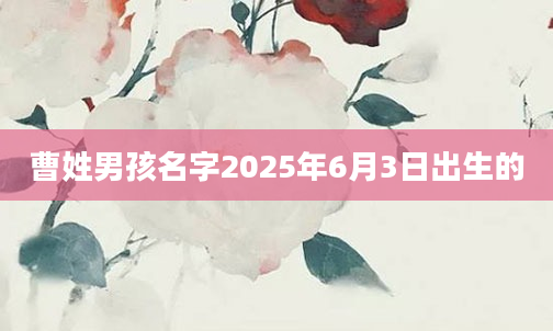 曹姓男孩名字2025年6月3日出生的