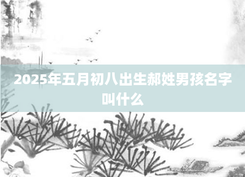 2025年五月初八出生郝姓男孩名字叫什么