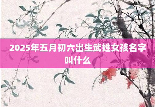 2025年五月初六出生武姓女孩名字叫什么