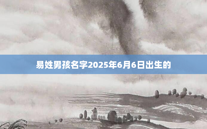易姓男孩名字2025年6月6日出生的