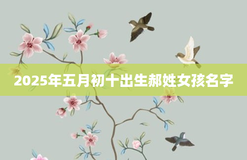 2025年五月初十出生郝姓女孩名字