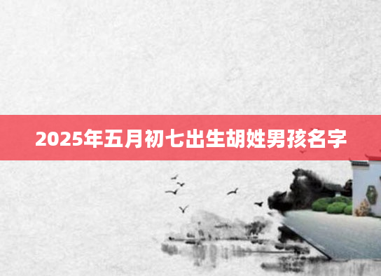 2025年五月初七出生胡姓男孩名字