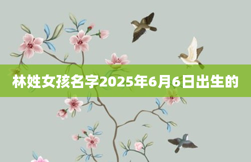 林姓女孩名字2025年6月6日出生的