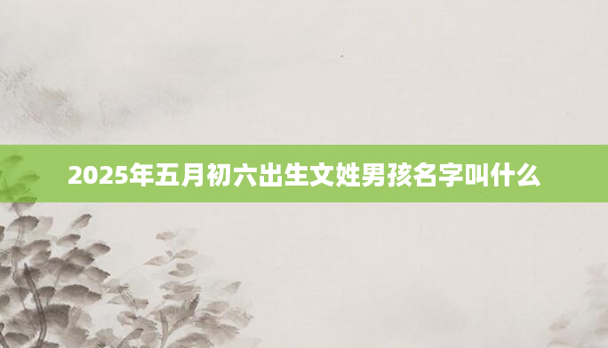 2025年五月初六出生文姓男孩名字叫什么