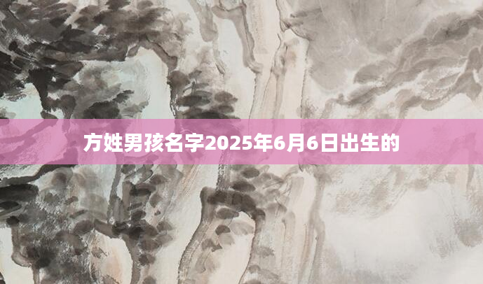 方姓男孩名字2025年6月6日出生的