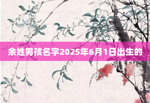 余姓男孩名字2025年6月1日出生的
