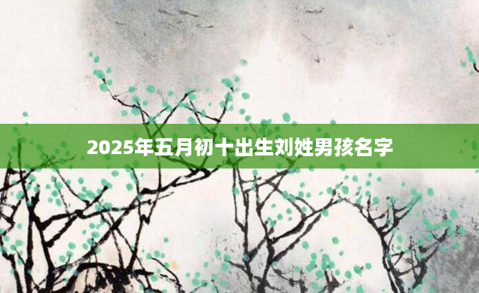 2025年五月初十出生刘姓男孩名字