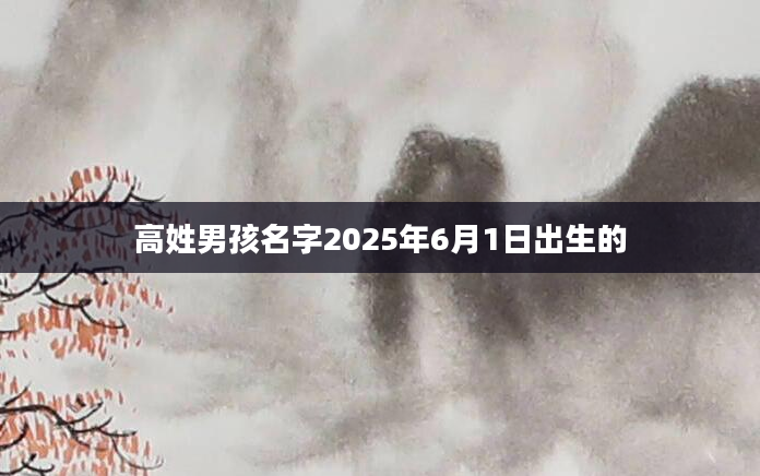 高姓男孩名字2025年6月1日出生的