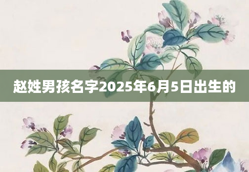 赵姓男孩名字2025年6月5日出生的