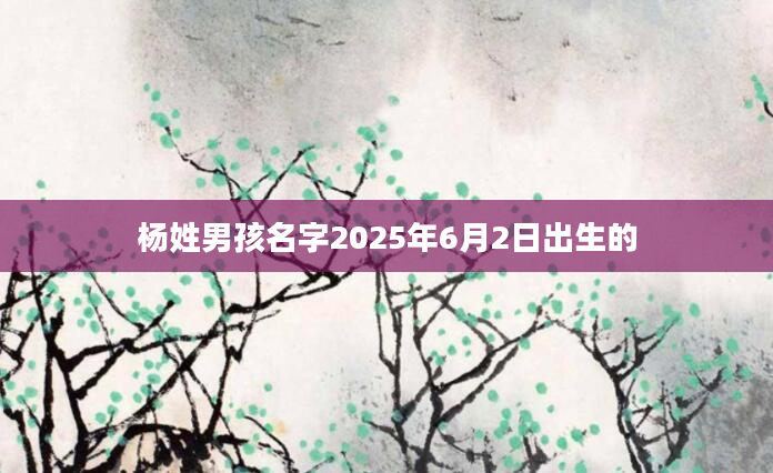 杨姓男孩名字2025年6月2日出生的