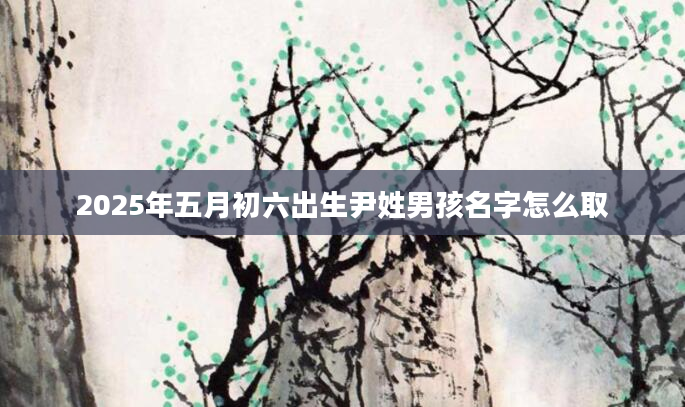 2025年五月初六出生尹姓男孩名字怎么取