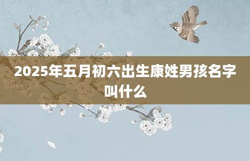 2025年五月初六出生康姓男孩名字叫什么