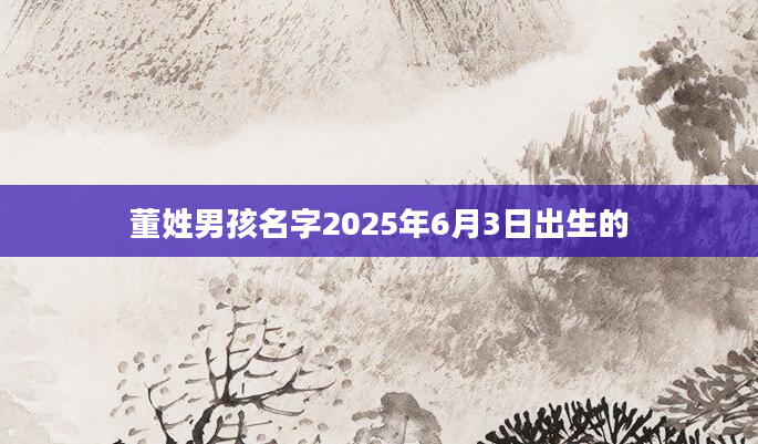董姓男孩名字2025年6月3日出生的