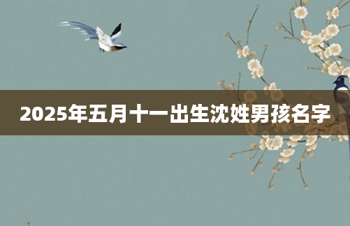 2025年五月十一出生沈姓男孩名字