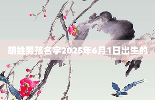 胡姓男孩名字2025年6月1日出生的
