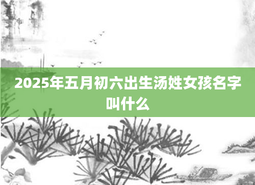 2025年五月初六出生汤姓女孩名字叫什么