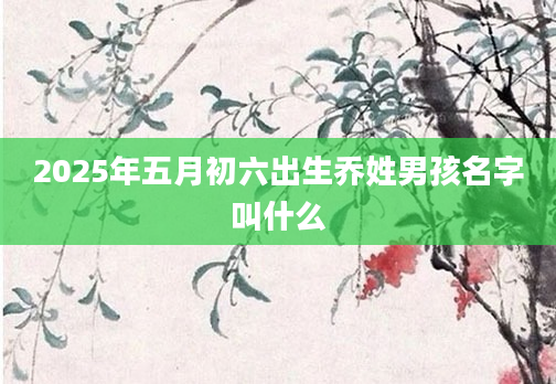 2025年五月初六出生乔姓男孩名字叫什么