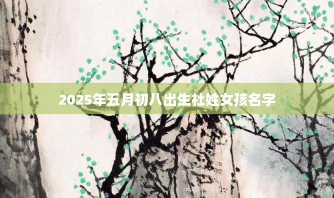 2025年五月初八出生杜姓女孩名字