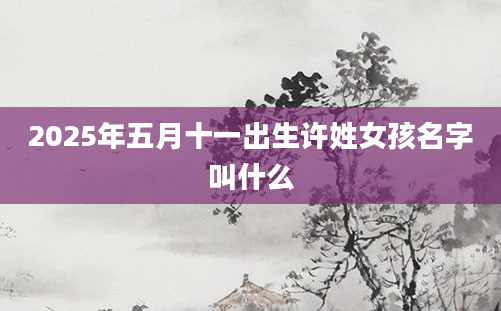 2025年五月十一出生许姓女孩名字叫什么